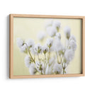 Babys Respirment Study Iv - James McLoughlin | Cuadro decorativo de Canvas Lab