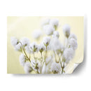 Babys Respirment Study Iv - James McLoughlin | Cuadro decorativo de Canvas Lab