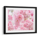 Estudio De Flor De Cerezo Iv - James McLoughlin | Cuadro decorativo de Canvas Lab