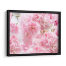 Estudio De Flor De Cerezo Iv - James McLoughlin | Cuadro decorativo de Canvas Lab