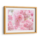 Estudio De Flor De Cerezo Iv - James McLoughlin | Cuadro decorativo de Canvas Lab