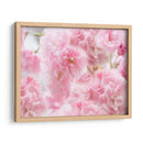 Estudio De Flor De Cerezo Iv - James McLoughlin | Cuadro decorativo de Canvas Lab