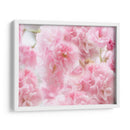 Estudio De Flor De Cerezo Iv - James McLoughlin | Cuadro decorativo de Canvas Lab