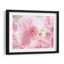 Estudio De Flor De Cerezo V - James McLoughlin | Cuadro decorativo de Canvas Lab
