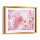 Estudio De Flor De Cerezo V - James McLoughlin | Cuadro decorativo de Canvas Lab