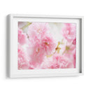 Estudio De Flor De Cerezo V - James McLoughlin | Cuadro decorativo de Canvas Lab