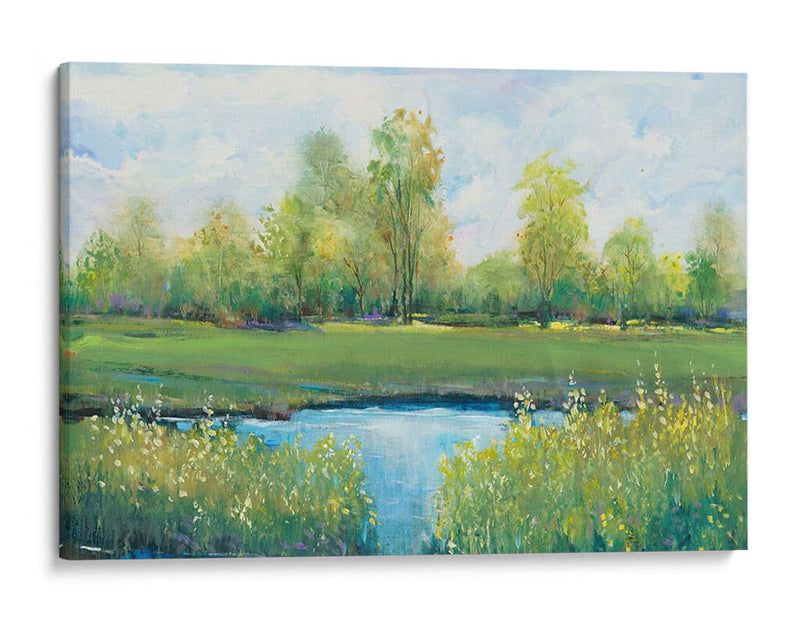 Tranquil Park Ii - Tim OToole | Cuadro decorativo de Canvas Lab