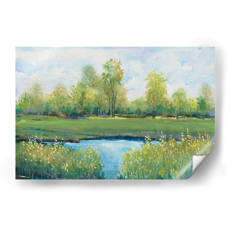 Tranquil Park Ii - Tim OToole | Cuadro decorativo de Canvas Lab