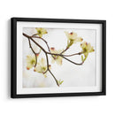 Doygwood Detlele I - James McLoughlin | Cuadro decorativo de Canvas Lab