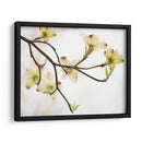 Doygwood Detlele I - James McLoughlin | Cuadro decorativo de Canvas Lab