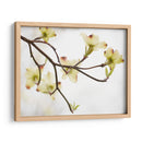 Doygwood Detlele I - James McLoughlin | Cuadro decorativo de Canvas Lab