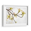 Doygwood Detlele I - James McLoughlin | Cuadro decorativo de Canvas Lab