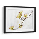 Dovwood Detlete Ii - James McLoughlin | Cuadro decorativo de Canvas Lab