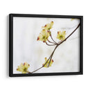 Dovwood Detlete Ii - James McLoughlin | Cuadro decorativo de Canvas Lab