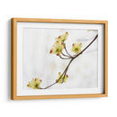 Dovwood Detlete Ii - James McLoughlin | Cuadro decorativo de Canvas Lab