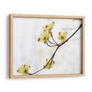 Dovwood Detlete Ii - James McLoughlin | Cuadro decorativo de Canvas Lab