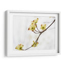 Dovwood Detlete Ii - James McLoughlin | Cuadro decorativo de Canvas Lab