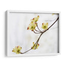 Dovwood Detlete Ii - James McLoughlin | Cuadro decorativo de Canvas Lab