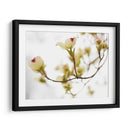 Dovwood Detlete Iii - James McLoughlin | Cuadro decorativo de Canvas Lab