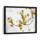 Dovwood Detlete Iii - James McLoughlin | Cuadro decorativo de Canvas Lab