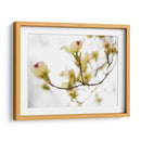 Dovwood Detlete Iii - James McLoughlin | Cuadro decorativo de Canvas Lab