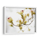 Dovwood Detlete Iii - James McLoughlin | Cuadro decorativo de Canvas Lab