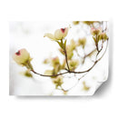 Dovwood Detlete Iii - James McLoughlin | Cuadro decorativo de Canvas Lab