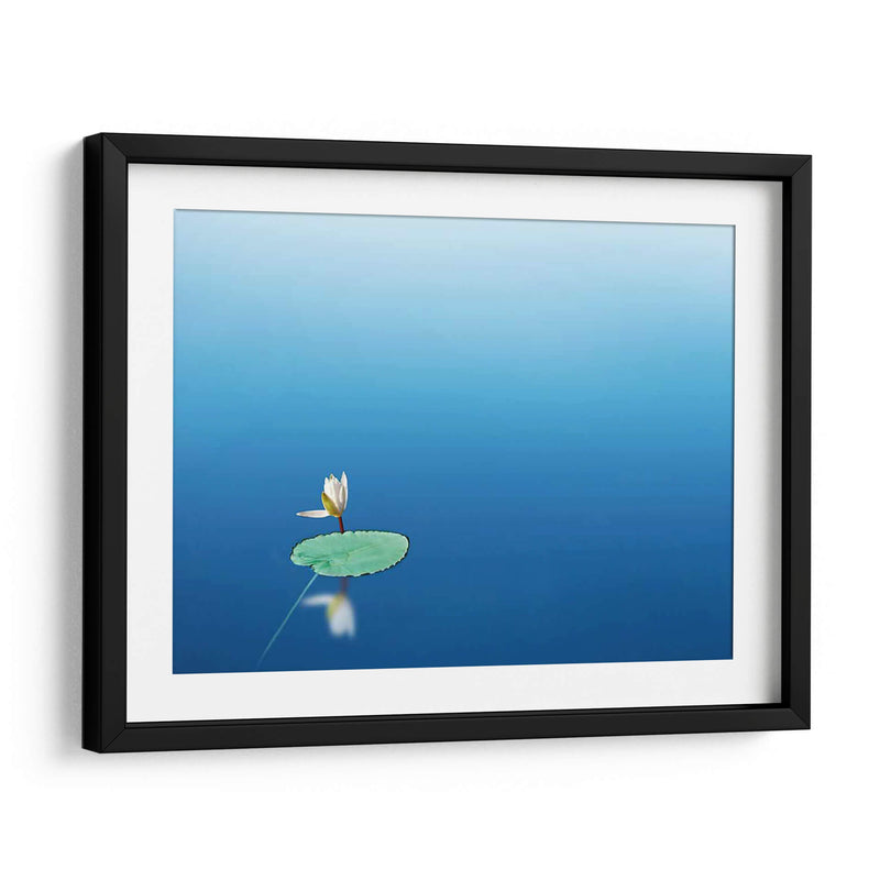 Lilypad I - James McLoughlin | Cuadro decorativo de Canvas Lab