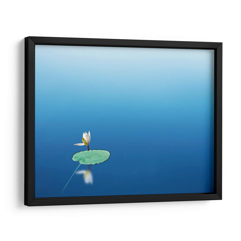 Lilypad I - James McLoughlin | Cuadro decorativo de Canvas Lab