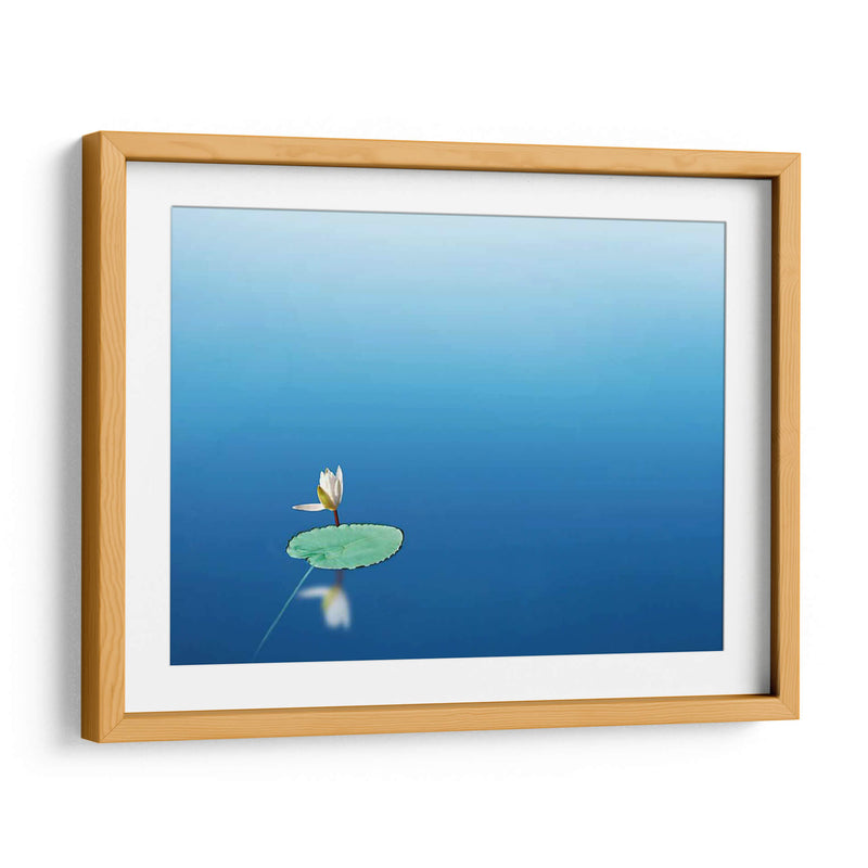 Lilypad I - James McLoughlin | Cuadro decorativo de Canvas Lab