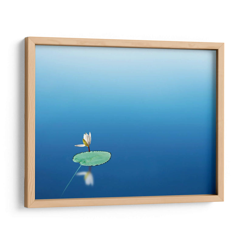 Lilypad I - James McLoughlin | Cuadro decorativo de Canvas Lab