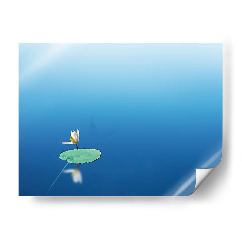 Lilypad I - James McLoughlin | Cuadro decorativo de Canvas Lab