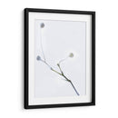 Brotes Blancos I - James McLoughlin | Cuadro decorativo de Canvas Lab
