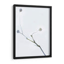 Brotes Blancos I - James McLoughlin | Cuadro decorativo de Canvas Lab