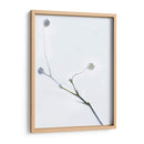 Brotes Blancos I - James McLoughlin | Cuadro decorativo de Canvas Lab