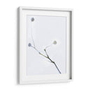 Brotes Blancos I - James McLoughlin | Cuadro decorativo de Canvas Lab