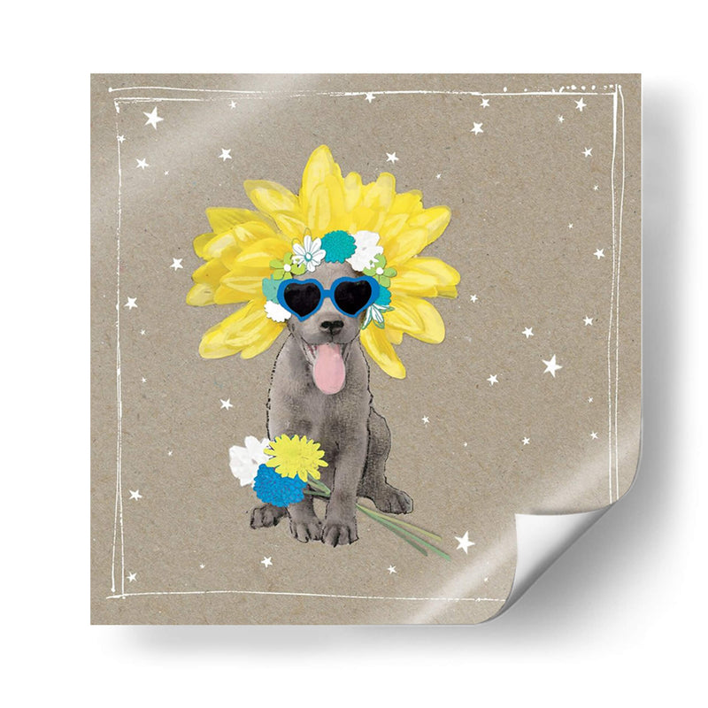 Fancypants Dogs Dogs Vi - Hammond Gower | Cuadro decorativo de Canvas Lab