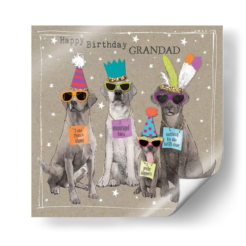 Fancypants Cool Dogs V - Hammond Gower | Cuadro decorativo de Canvas Lab