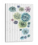 Shiplap Suculent Cluster I - Grace Popp | Cuadro decorativo de Canvas Lab