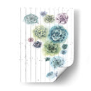 Shiplap Suculent Cluster I - Grace Popp | Cuadro decorativo de Canvas Lab