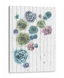 Shiplap Suculent Cluster Ii - Grace Popp | Cuadro decorativo de Canvas Lab