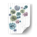 Shiplap Suculent Cluster Ii - Grace Popp | Cuadro decorativo de Canvas Lab