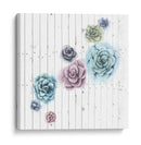 Shiplap Suculent Cluster Iii - Grace Popp | Cuadro decorativo de Canvas Lab