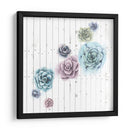 Shiplap Suculent Cluster Iii - Grace Popp | Cuadro decorativo de Canvas Lab