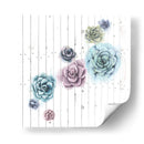 Shiplap Suculent Cluster Iii - Grace Popp | Cuadro decorativo de Canvas Lab