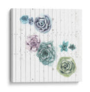Shiplap Suculent Cluster Iv - Grace Popp | Cuadro decorativo de Canvas Lab