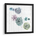 Shiplap Suculent Cluster Iv - Grace Popp | Cuadro decorativo de Canvas Lab