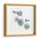 Shiplap Suculent Cluster Iv - Grace Popp | Cuadro decorativo de Canvas Lab
