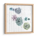 Shiplap Suculent Cluster Iv - Grace Popp | Cuadro decorativo de Canvas Lab