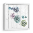 Shiplap Suculent Cluster Iv - Grace Popp | Cuadro decorativo de Canvas Lab
